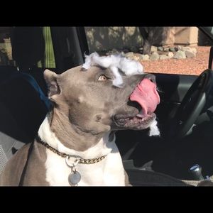 Meet your Posher, Christopher